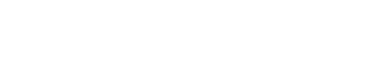 Datamedia Logo